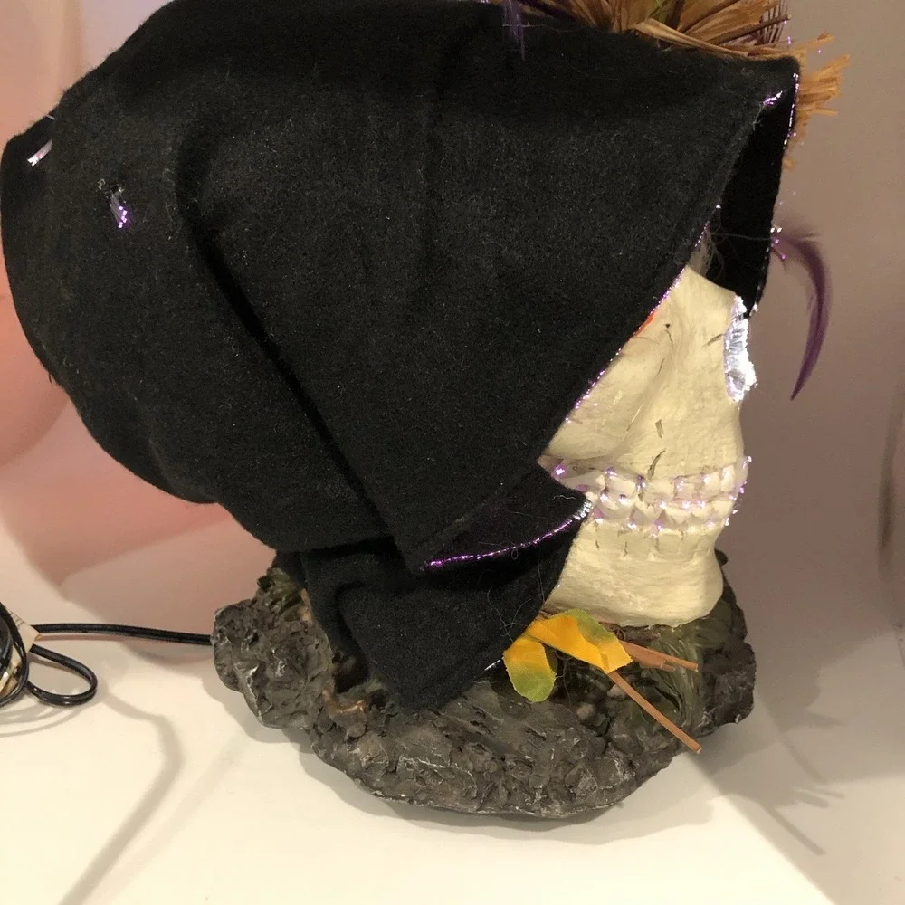 Fiber Optic Halloween Skull With Black Hood Creative Designs